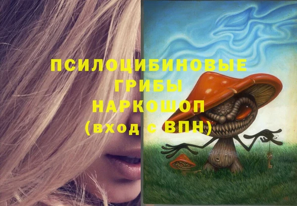 стафф Слюдянка