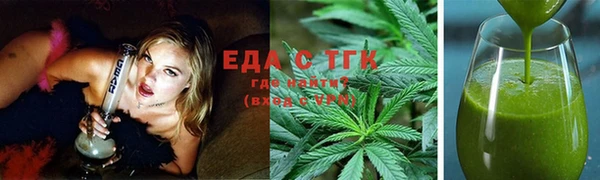 стаф Алзамай