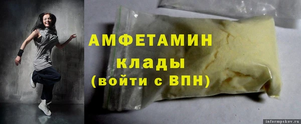 стаф Алзамай