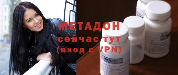 стаф Алзамай