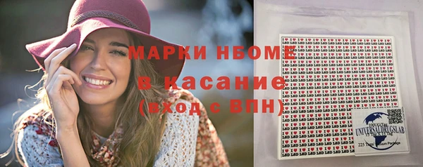 стаф Алзамай