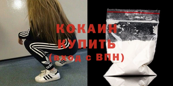 стаф Алзамай