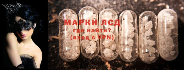 стаф Алзамай