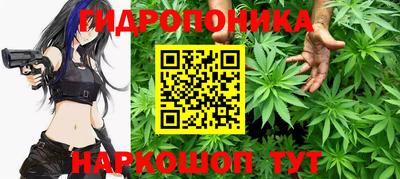 эйфоретик Краснодар